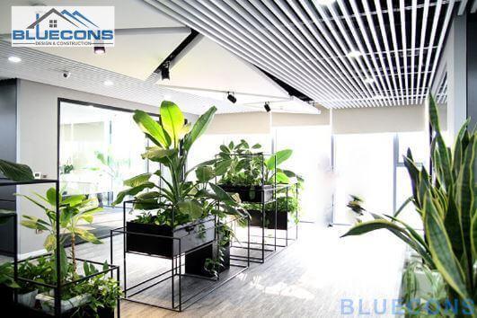 Thiết kế nội thất văn phòng xanh được sử dụng rộng rãi