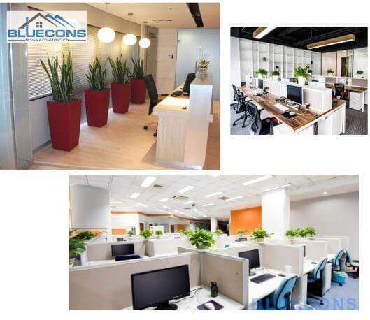 Tổng thể không gian bố trí của thiết kế nội thất văn phòng xanh