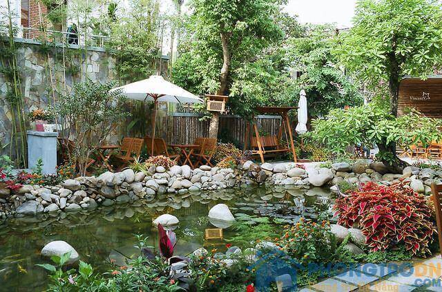 Thiết kế quán cafe cá Koi