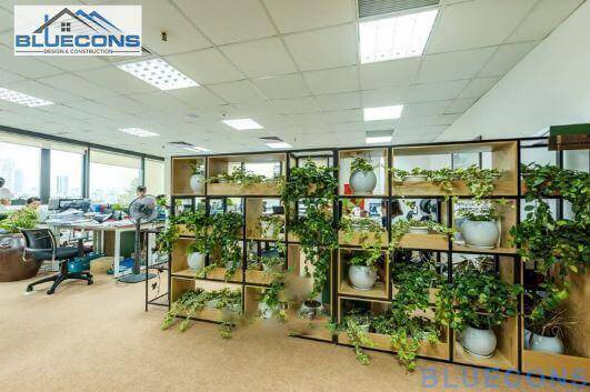Cây xanh được sử dụng trang trí cho thiết kế nội thất văn phòng xanh