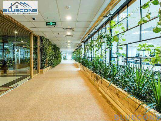 Thiết kế nội thất văn phòng xanh Thiết kế nội thất văn phòng xanh