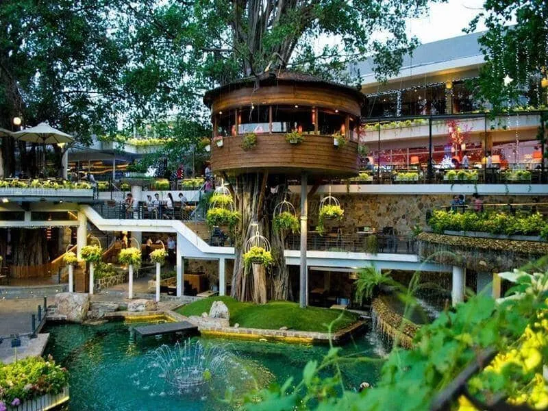 Nhận thi công quán cafe trọn gói 2 Quầy pha chế giá rẻ