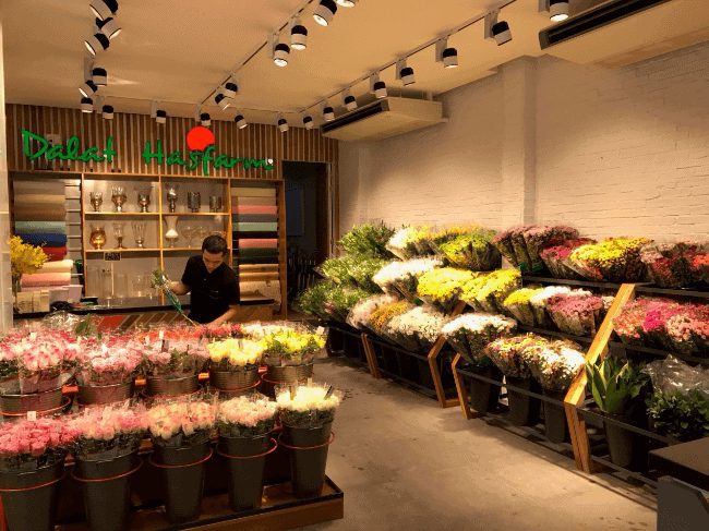 Thiết kế shop hoa hiện đại