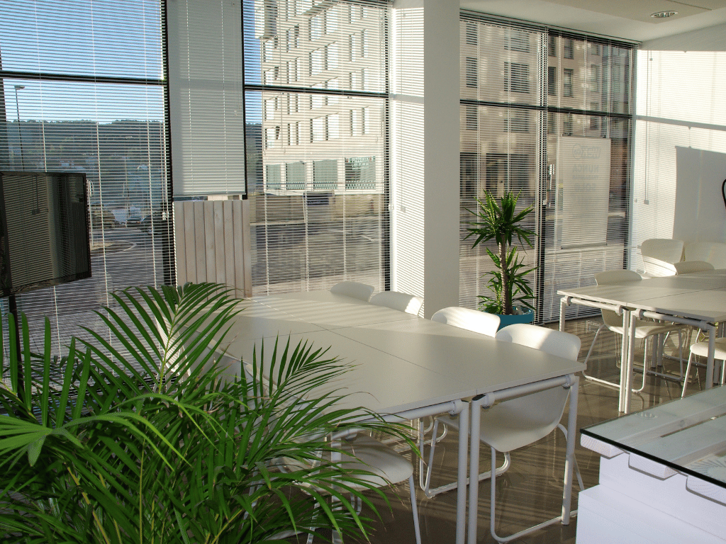 Ý tưởng thiết kế văn phòng hiện đại với không gian xanh