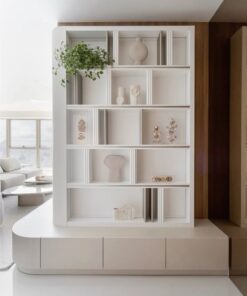 Kệ trưng bày chuyên nghiệp (5)