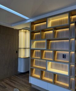 Kệ trưng bày độc lập (1)