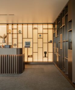 Kệ trưng bày showroom (5)