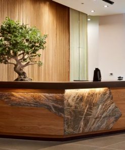 Quầy lễ tân đẹp chuẩn phong thủy (3)