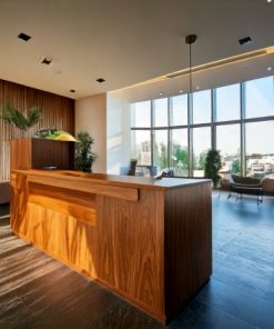 Quầy lễ tân nhỏ gọn hiện đại 9 Quầy lễ tân nhỏ gọn hiện đại (2)