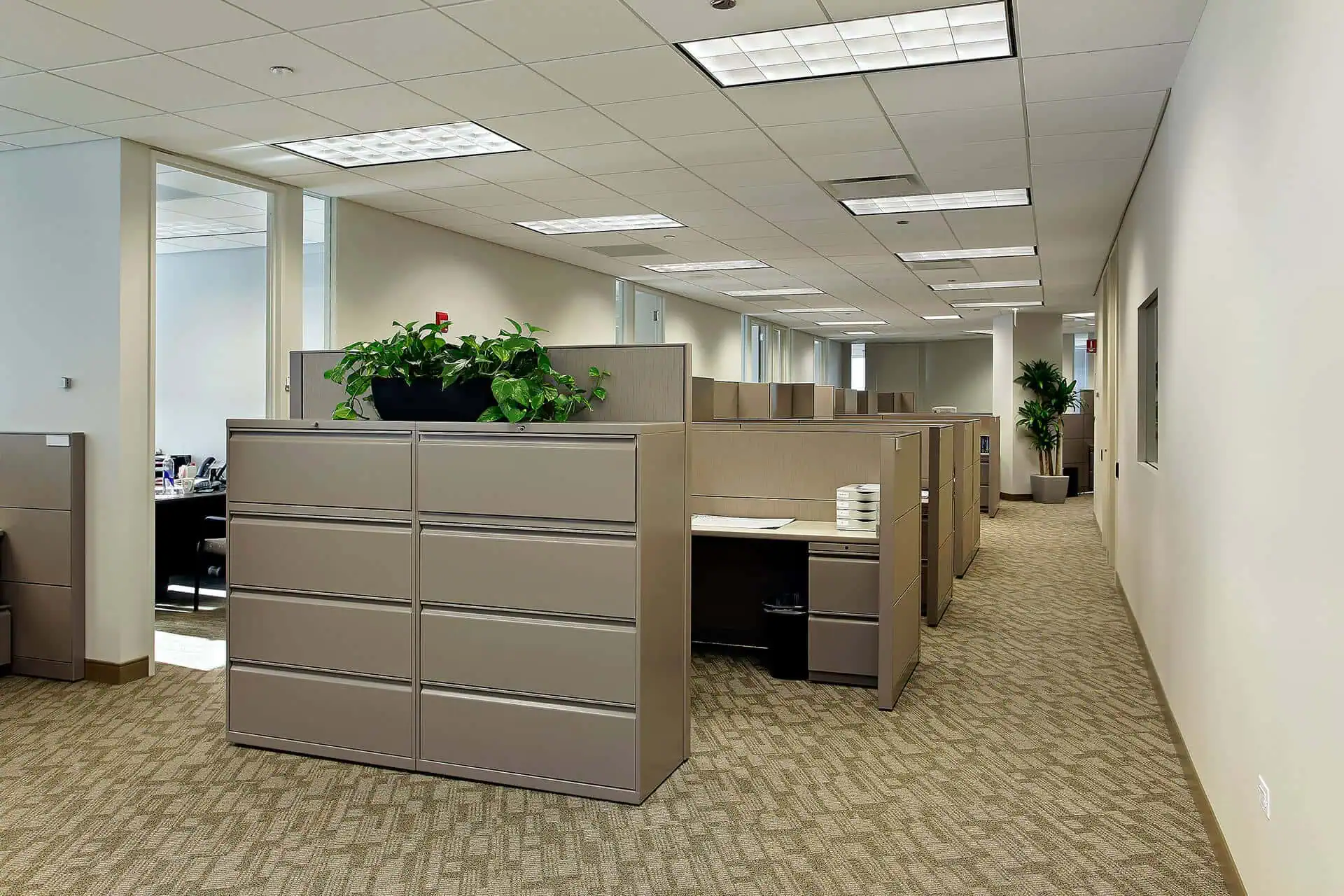 Thạch cao cách âm tốt 3 Thạch cao cách âm tốt 3
