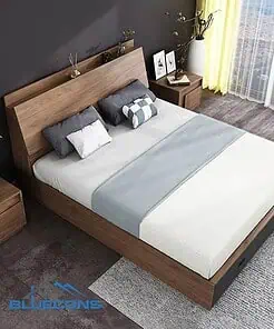 Giường ngủ hiện đại GN001