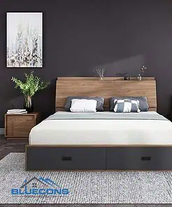 Giường ngủ hiện đại GN001