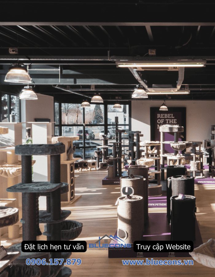 Thi công shop thú cưng, thiết kế pet shop không gian siêu đáng yêu
