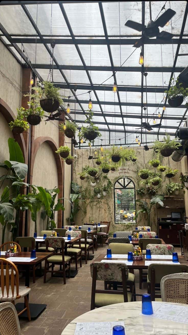 Thi công quán cafe sang trọng với nhiều cây xanh