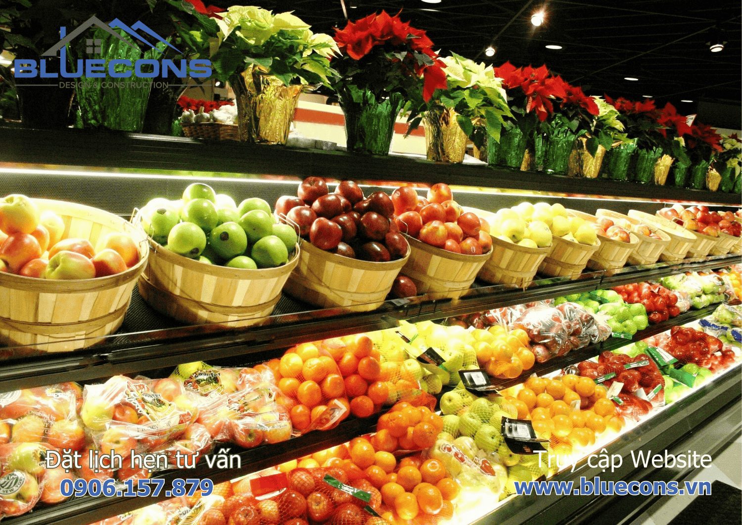 Thi công shop trái cây sạch nhập khẩu bình dân uy tín