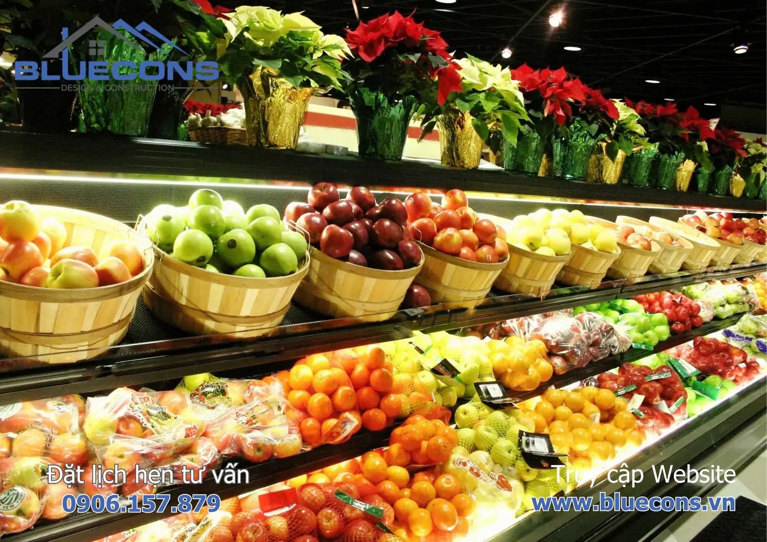 Thi công shop trái cây sạch nhập khẩu bình dân uy tín 4 Thi công shop trái cây sạch nhập khẩu bình dân uy tín